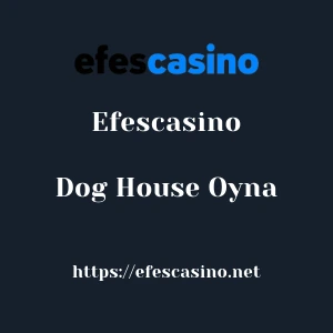 Efescasino Dog House Oyna